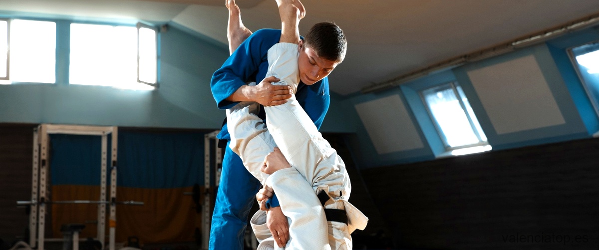 4. "Precios medios de las clases de Judo en Valencia: ¿qué se puede esperar?"