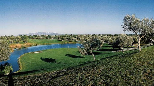 Club De Golf El Plantio
