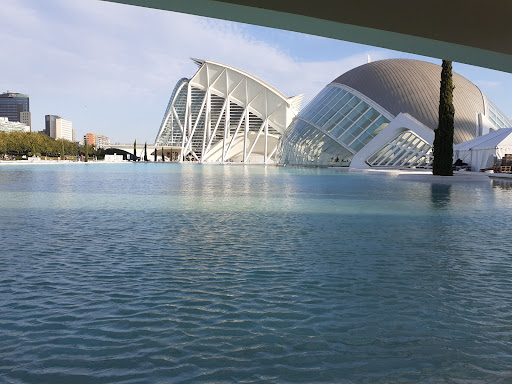 Instituto Valenciano de Arte Moderno