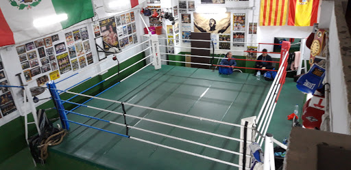 TSUBOXTEAM (Club Boxeo san Cristóbal)