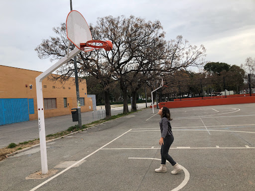 Basket Court nº 3