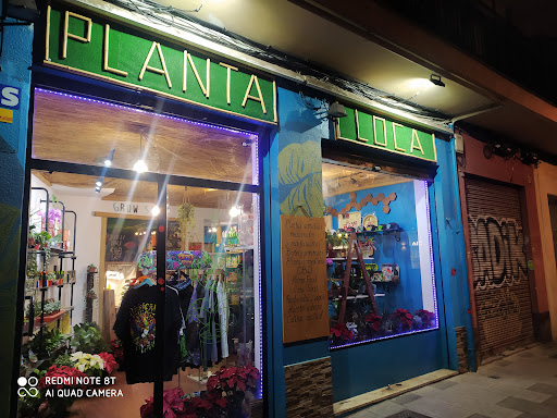 Planta Loca Shop Producto Cbd Valencia Grow Shop y Plantas