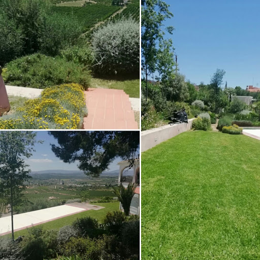 Servicios de Jardineria en Valencia Agrovert Levante