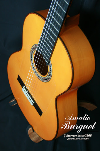 Amalio Burguet Guitarras