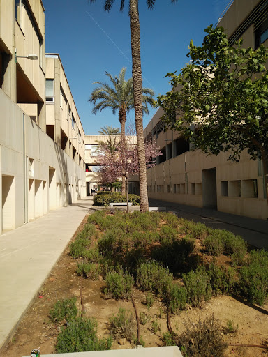 UPV - Escuela Técnica Superior de Arquitectura ETSA