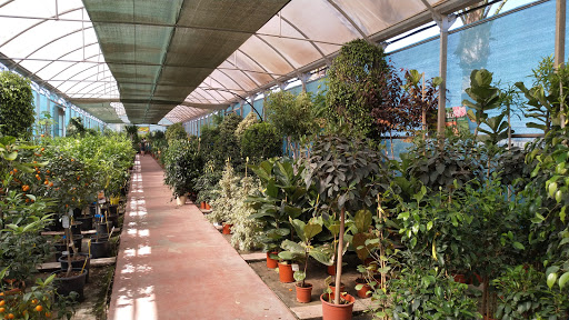 Centro de Jardinería Albogarden