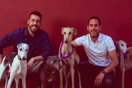 Educadores Caninos Valencia - Walking Dogs