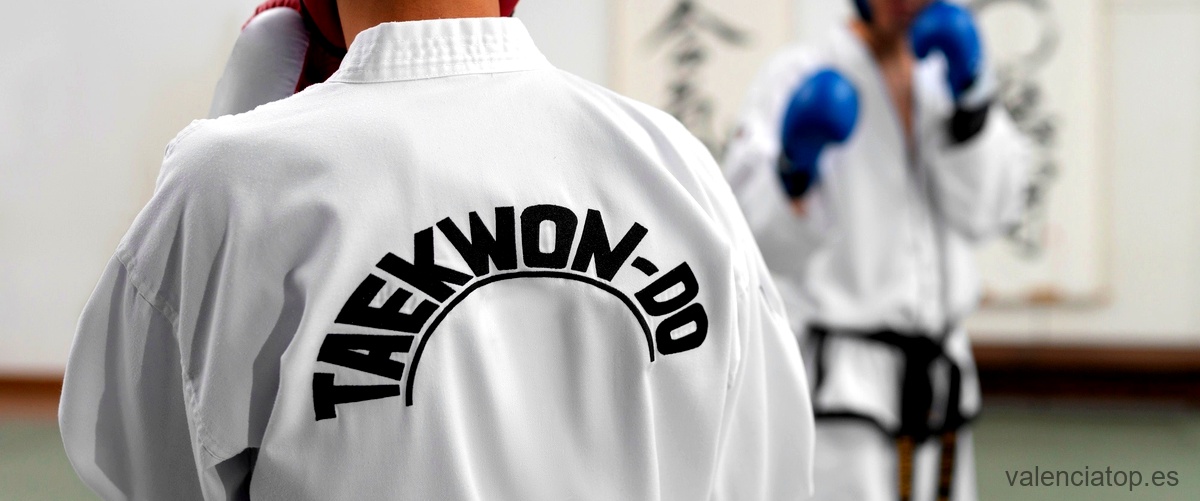 ¿Cuáles son las partes del Taekwondo?