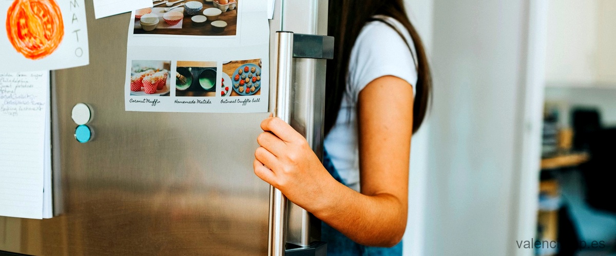 ¿Cuáles son los frigoríficos que consumen menos energía?