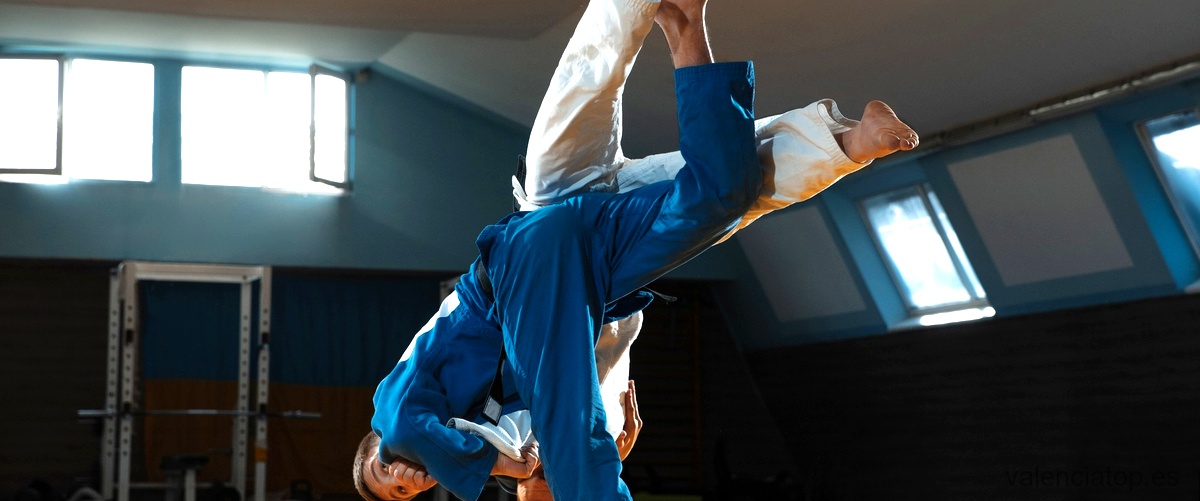¿Cuánto tiempo se tarda en aprender jiu jitsu japonés en Valencia?