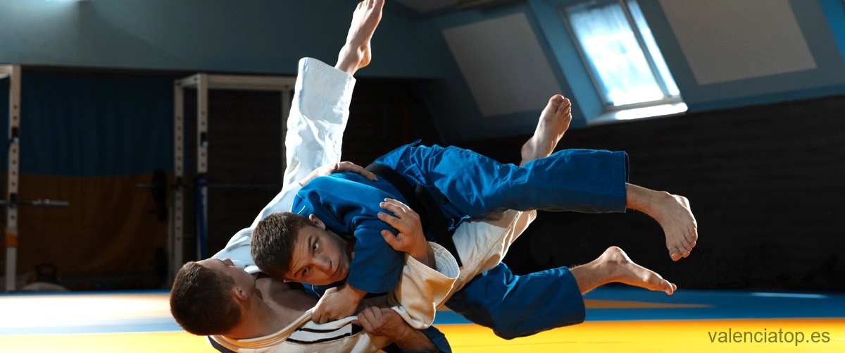 ¿Qué aprenden los niños en las escuelas de taekwondo en Valencia?