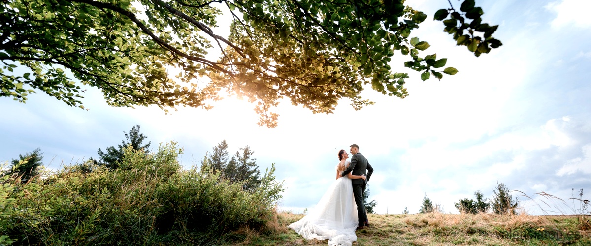 ¿Qué aspectos considerar al elegir un lugar para una boda en el bosque?
