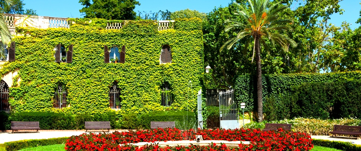 ¿Qué servicios se incluyen en un servicio de jardinería en Valencia?