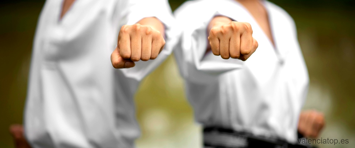¿Qué tan beneficioso es el karate para los niños?