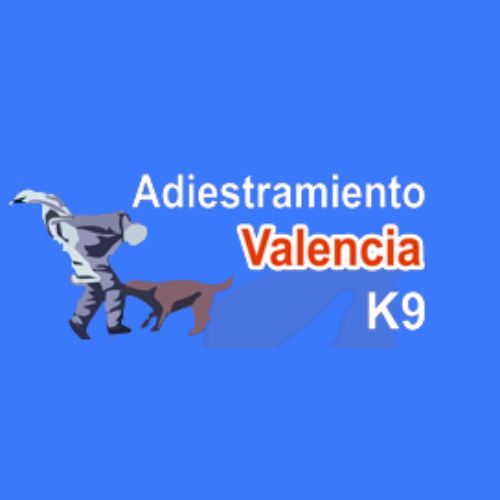 Adiestramiento Valencia (Valencia y Sagunto)